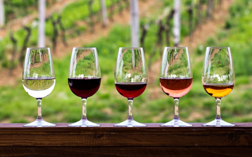 Tipos de vinos para principiantes