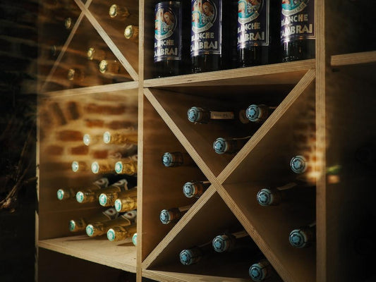 Mejores Cavas de Vino
