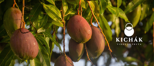 vino de mango