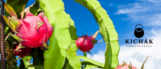 ¡Fruta del Dragón! Descubre todos los secretos de la pitahaya y cómo puede cambiar tu salud para siempre