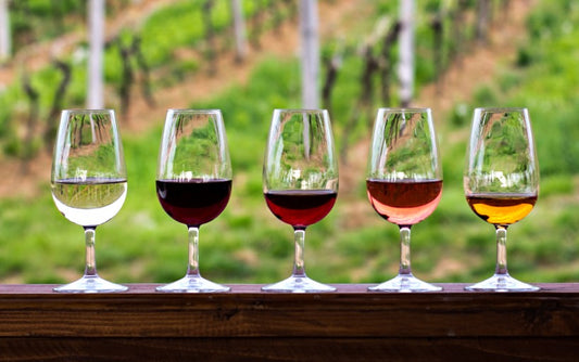 Tipos de vinos para principiantes