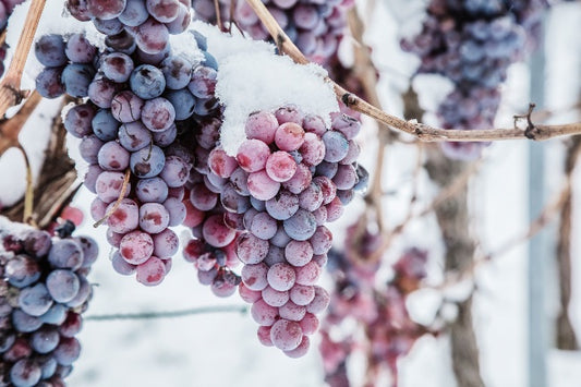 Vino de hielo