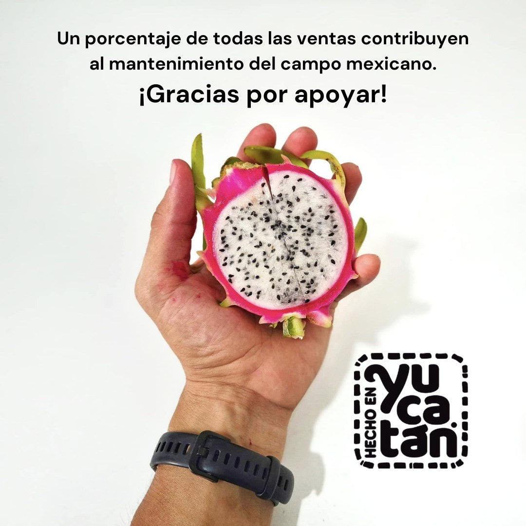 Vino de Pitahaya Kichák 750 ml