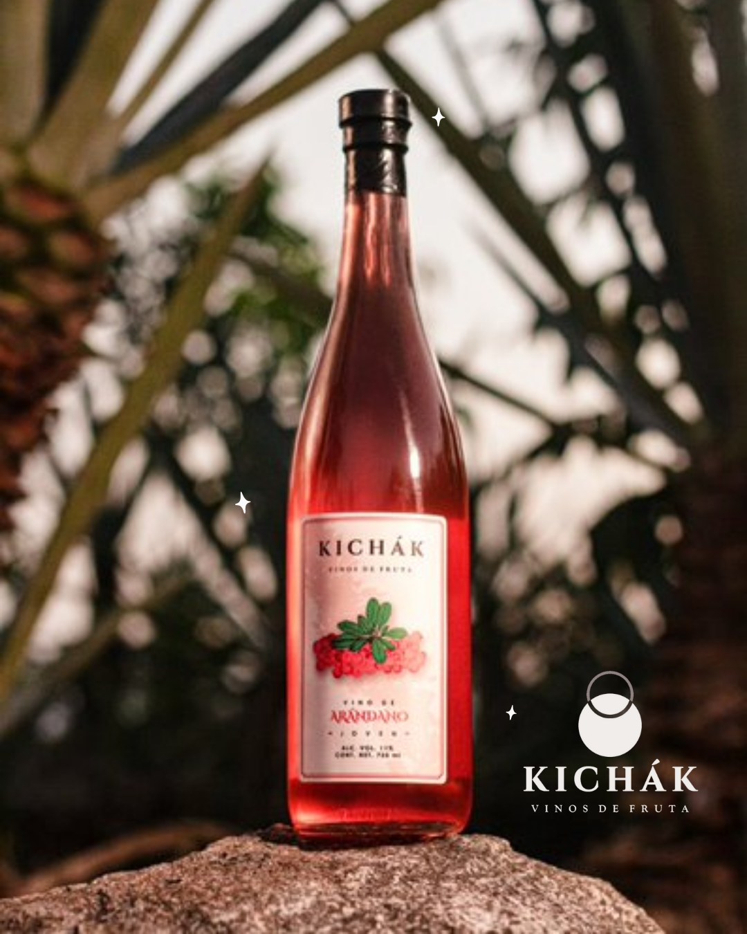 VINO DE ARÁNDANOS KICHÁK 750 ML